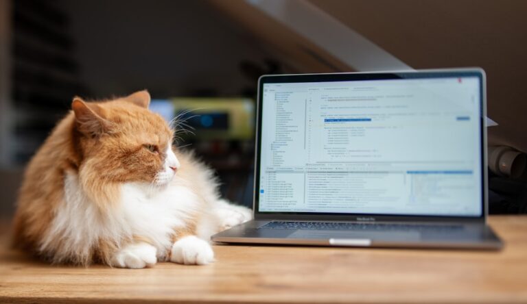 Building a Community: Tips for Cat Owners on Social Platforms