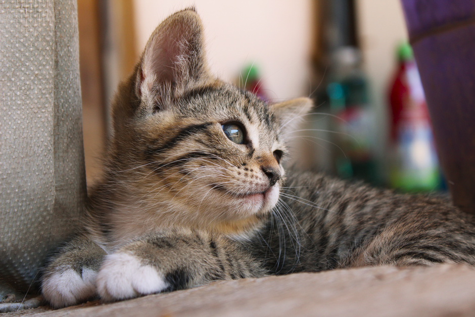 blog_4