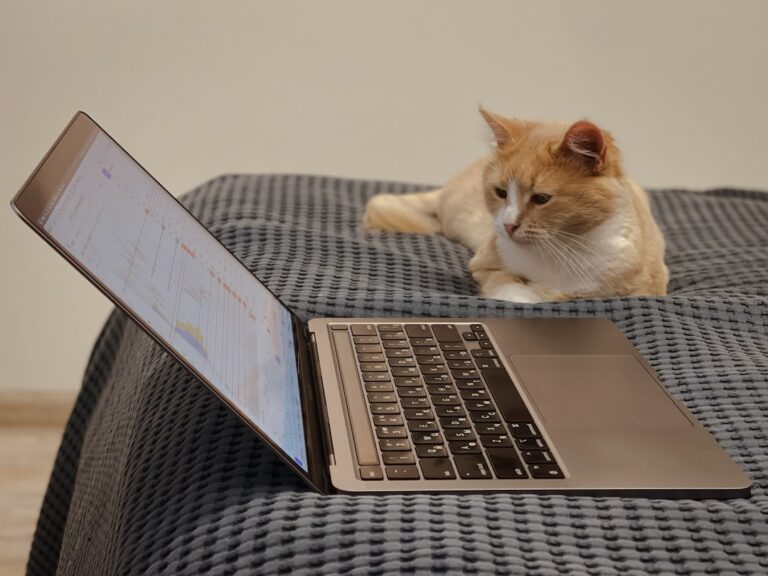 Transforming Feline Passion into Profitable Social Media Campaigns
