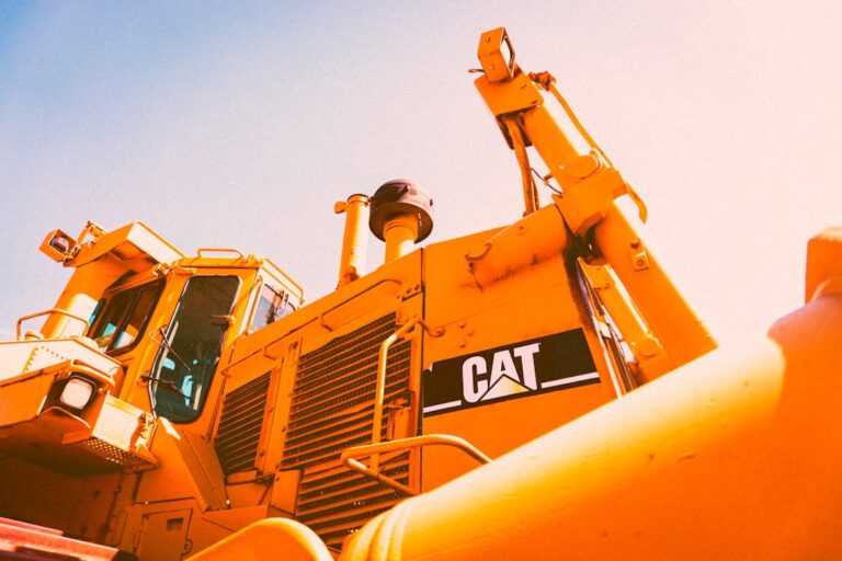 Essential Tools for Managing Your Cat Brand’s Online Image