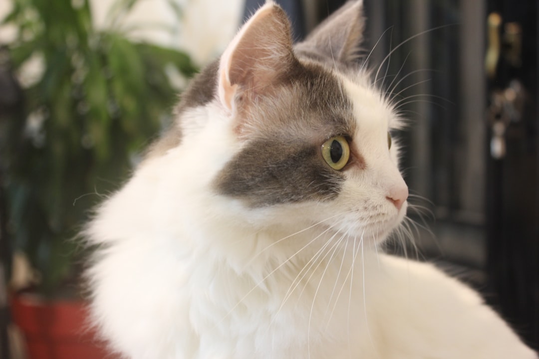 blog_7