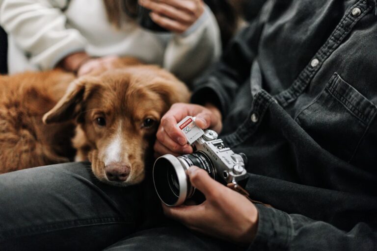 Crafting the Perfect Social Media Strategy for Pet Enthusiasts