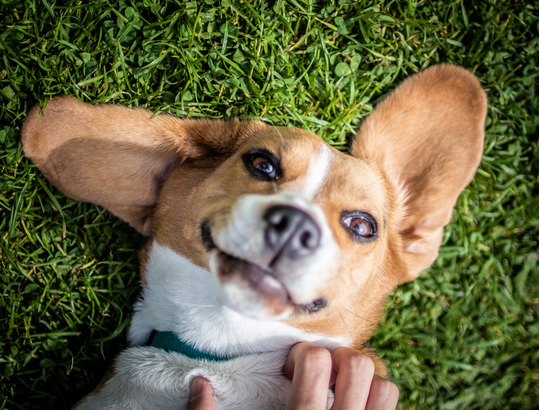 blog_9